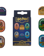 Harry Potter Exclusive Quidditch Mystery Box Pin