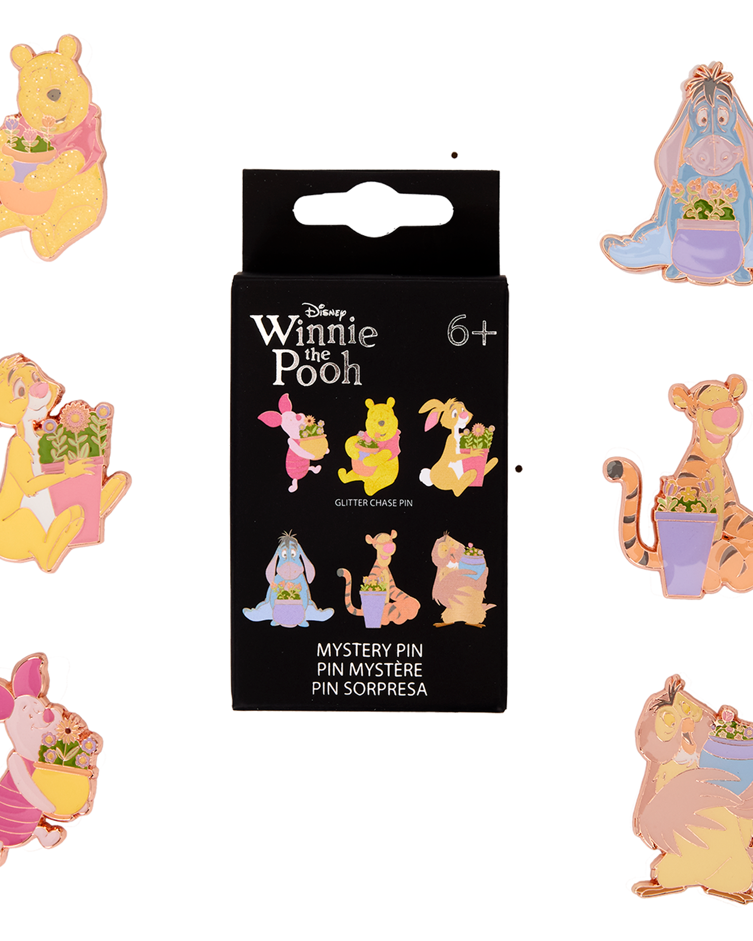 Winnie the Pooh Mystery Box Pin